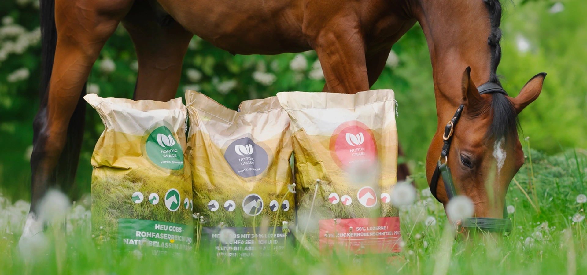 konie przy drzewkach